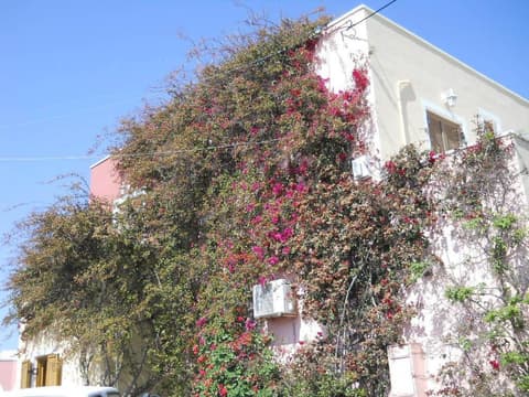 Hotel Palladion