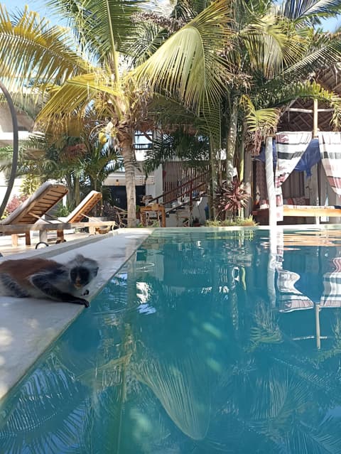 FATUMA HOUSE HOTEL