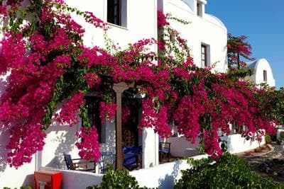 Anna Traditional Apartments