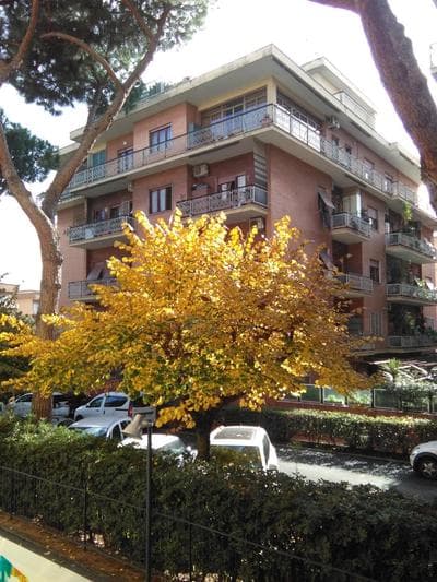 Eleonora's Apartment