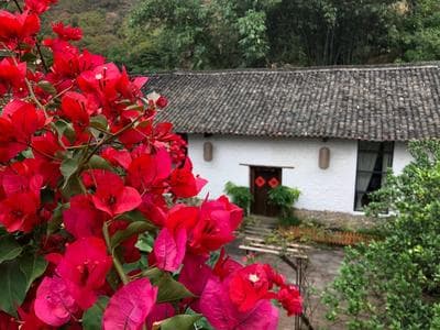 Zen Box House