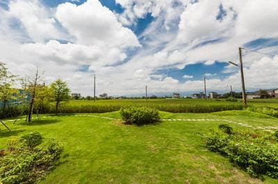 Buluba-Green Fields