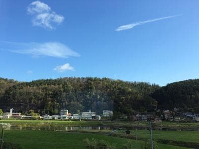 Pension Hönel-Hof Bad Schandau