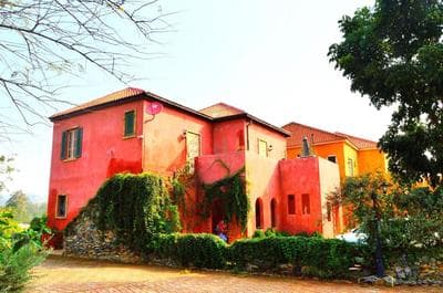 Davinci Di Khaoyai
