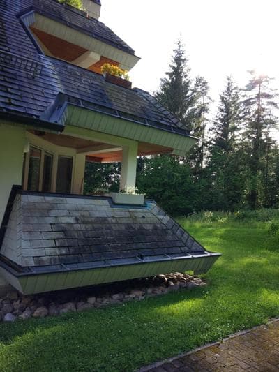 Black Forest Bollenhut