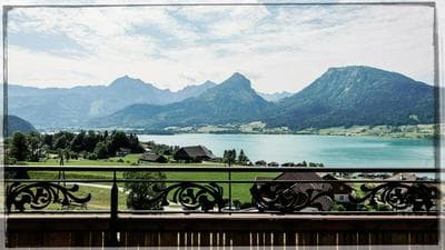 The View
