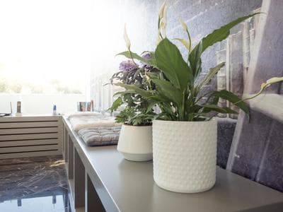 Luxury Veni Acropolis View Apartment