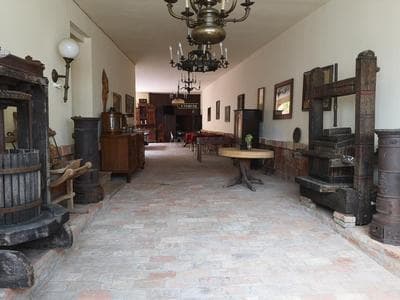 Máté Pension