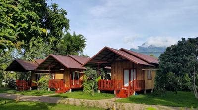 Chiang Dao Reset