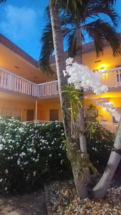 Pompano Beach Hidden Gem