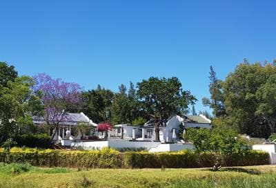 Tempel Wines