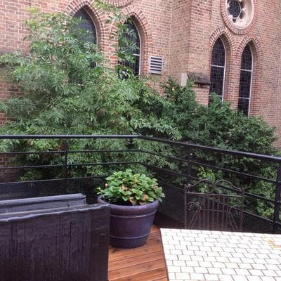 The Terraces of the Orchestra