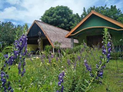 Dinoyin Bungalows