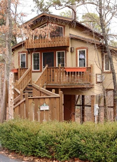 The Grand Treehouse Resort
