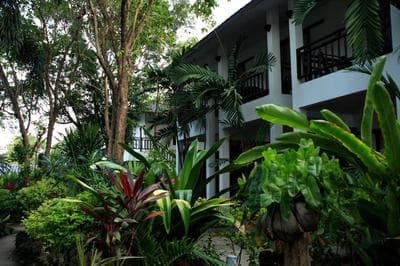 The Hive Hotel