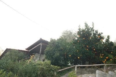 Triantafyllia's House