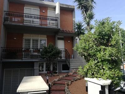 La camelia bianca