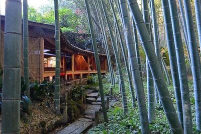 Credo Maison Kamakura 202