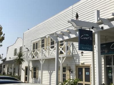 Rockley Park - Coral
