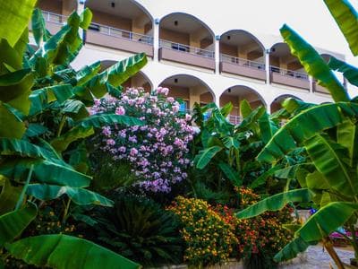 Paradise Lost Hotel-Apartments