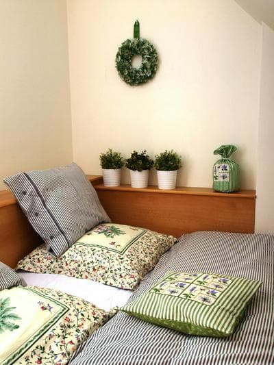 Apartmán s balkonem u sjezdovek