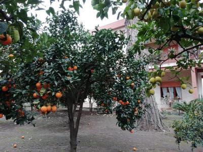 ETNA MARE Jonio