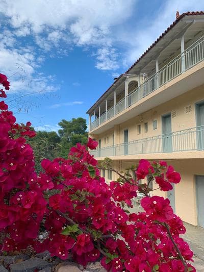 Fedra Apartments