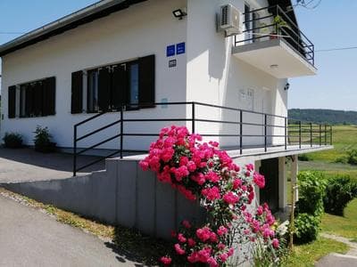 VIP Apartments & Room