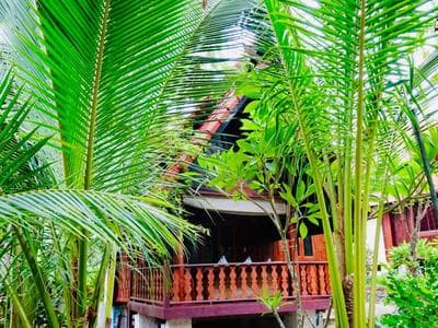 Starbay Samui