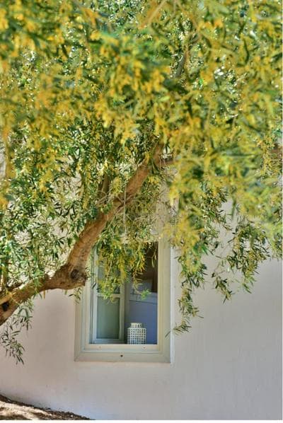 Douskos Beach House