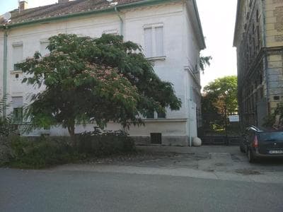 Elizabeth Apartman