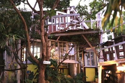 Tree-house Hotel Morinosubako