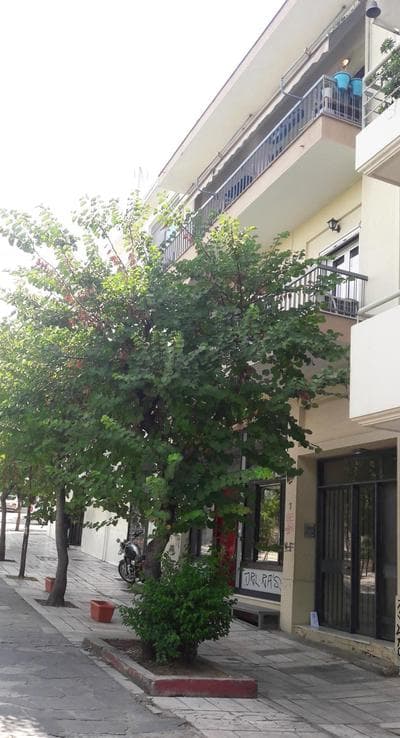 Thissio View Design Apartment