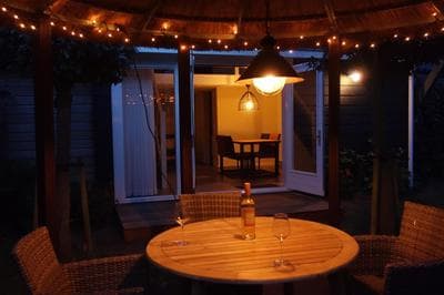 Albatros
