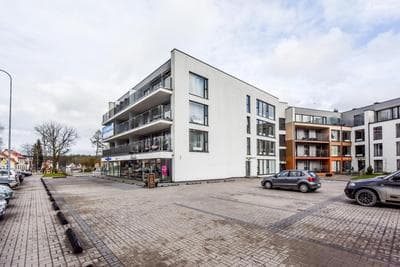 Spacious and sunny apartment in Birstonas center