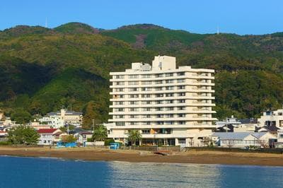 Ooedo Onsen Monogatari Toi Marine Hotel