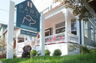 Paws on Pelham