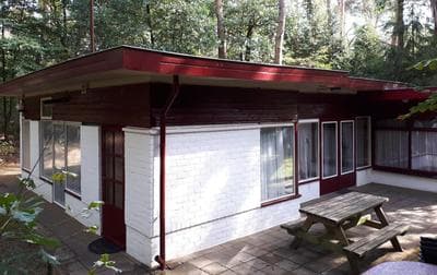Bonte Specht