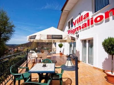 APARTAMENTY VILLA PIGMALION - sauna, jacuzzi, parking, ogród