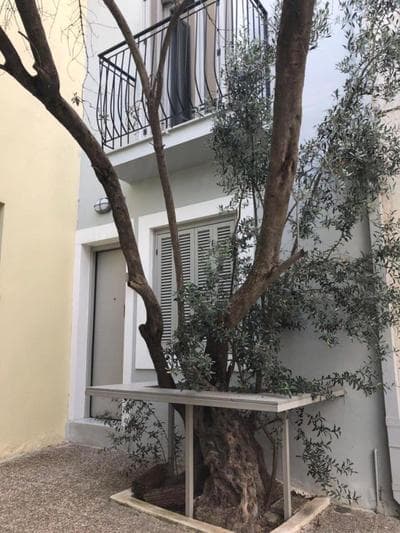 Acropolis Luxury Apartments