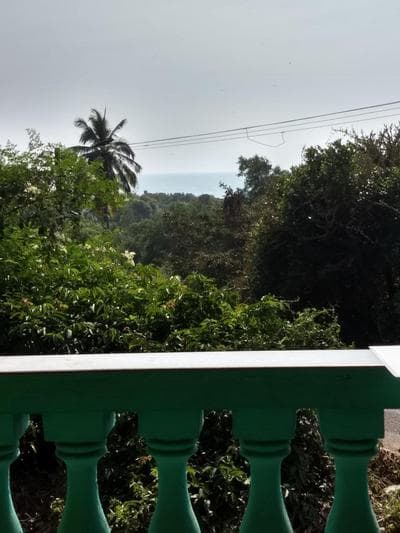 AGONDA green house