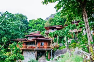 Venus Resort