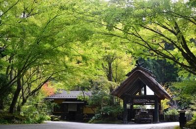 Kurokawa Onsen Oku no Yu