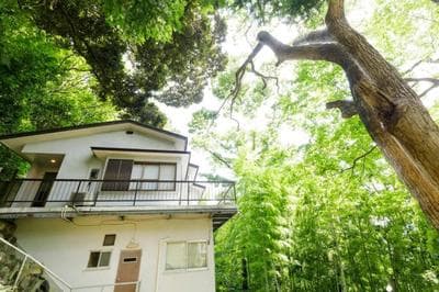 Atami Bamboo Hill