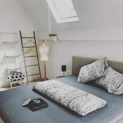 LUXE TOPLOCATIE! Monument hartje centrum Dordrecht, 2 badkamers, 2 keukens, tuintje (10 personen)