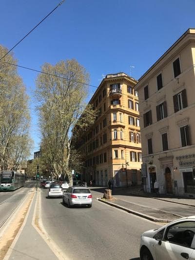 Paola A Trastevere