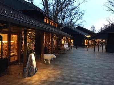 Angel Resort Karuizawa