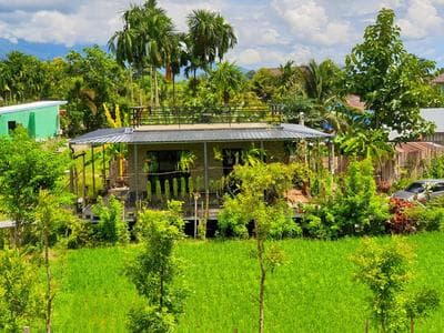 Vieng pua homestays