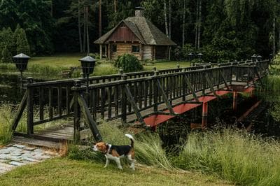 Log Cabin