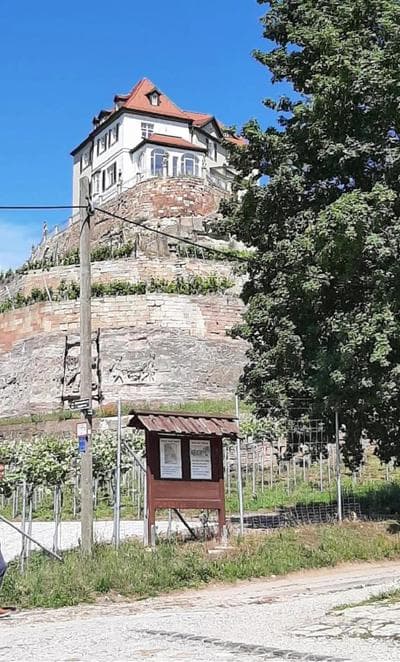 Ferienwohnung Weinbergblick